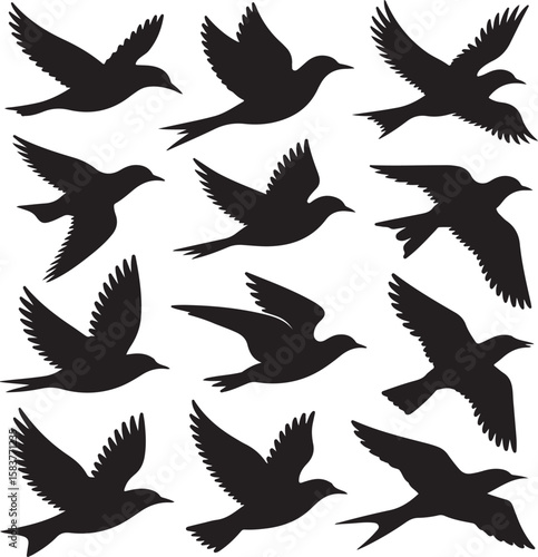 Black bird silhouettes in flight birds flying