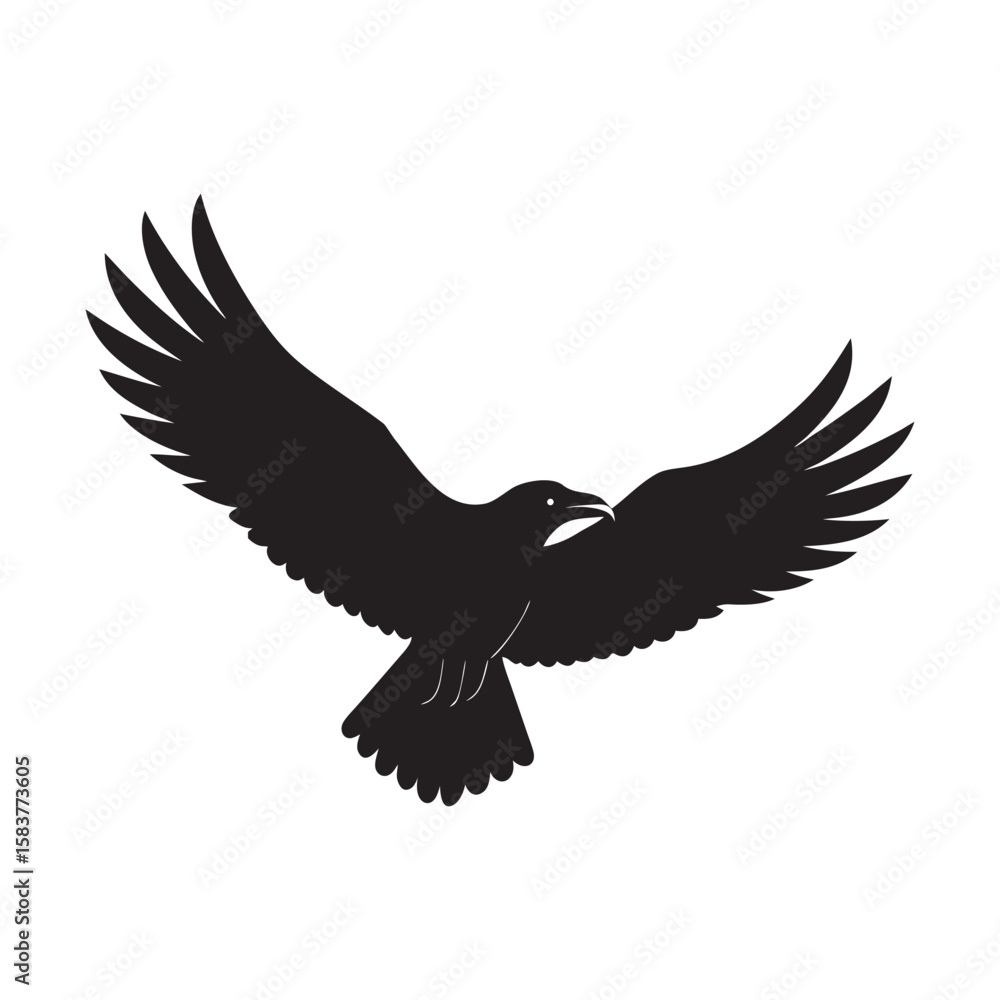 Obraz premium silhouette crow flying