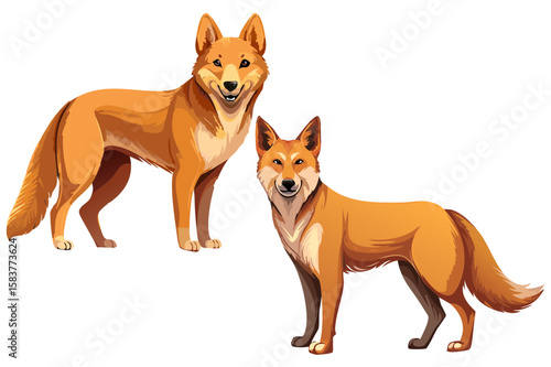 Australian wild dog dingo (Canis familiaris dingo, Canis lupus dingo) Fauna Australia desert predatory animal, Realistic dingo design of brown coloring