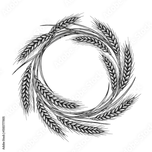 Vintage ink sketch of a circle made of wheat ears, black and white hand-drawn illustration on white background