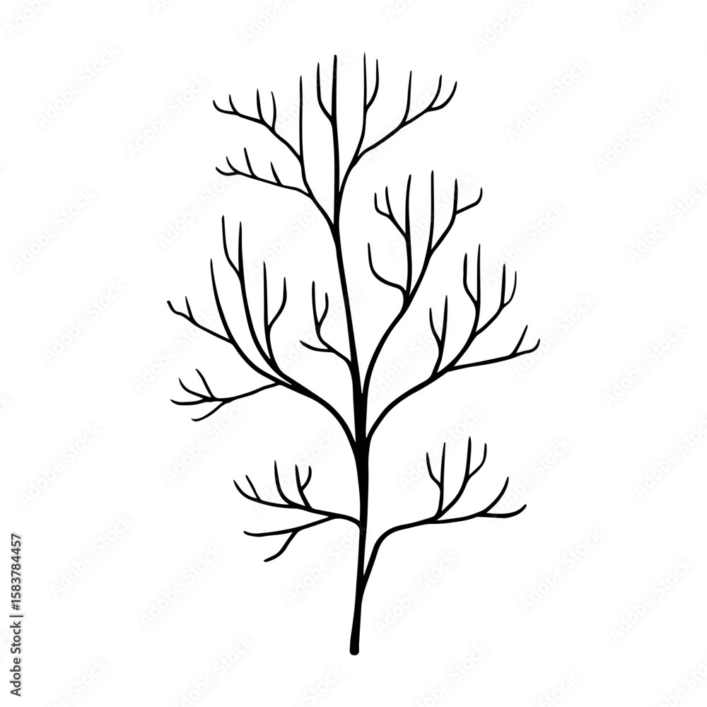 Fototapeta premium a hand-drawn sketch twig with branches without leaves