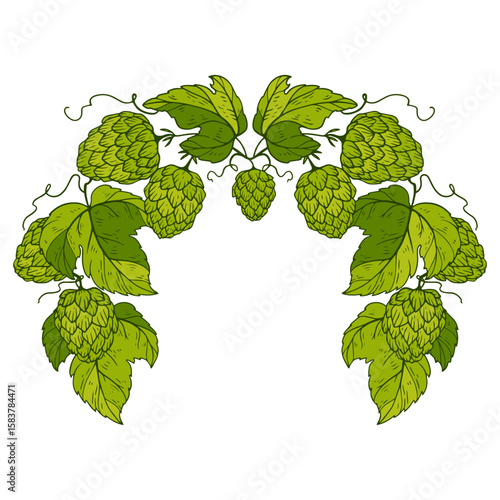 a green wreath of brewing hops. background with space for text
