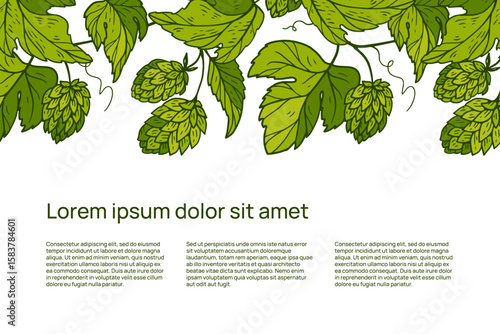 a leaflet template for beer and breweries with hops and text. bright hand-drawn drawing
