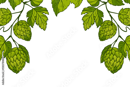 background with bright green branches of hops with leaves and an empty space.  beer decor