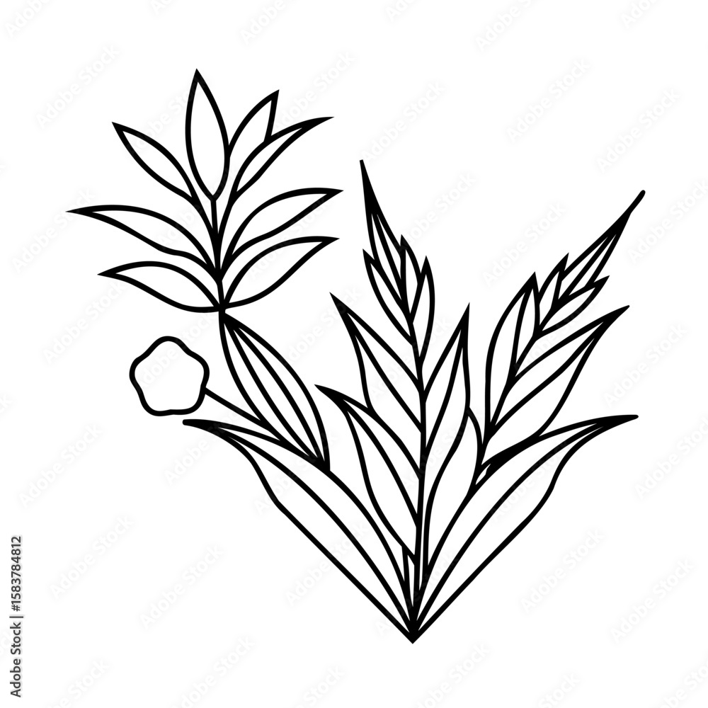 Obraz premium Line art stylized floral elements on a flower leaf