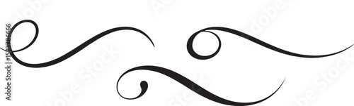 Elegant black calligraphic flourish elements with swirling curves and loops isolated on transparent background