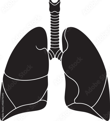 vector illustration of lungs
