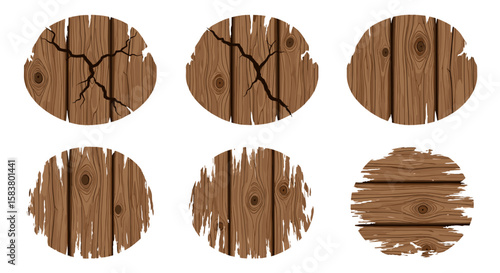 Collection of six oval wooden planks showing different levels of decay and damage to the wood grain