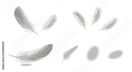 Illustration showing a collection of light gray feathers scattered on a white background design element