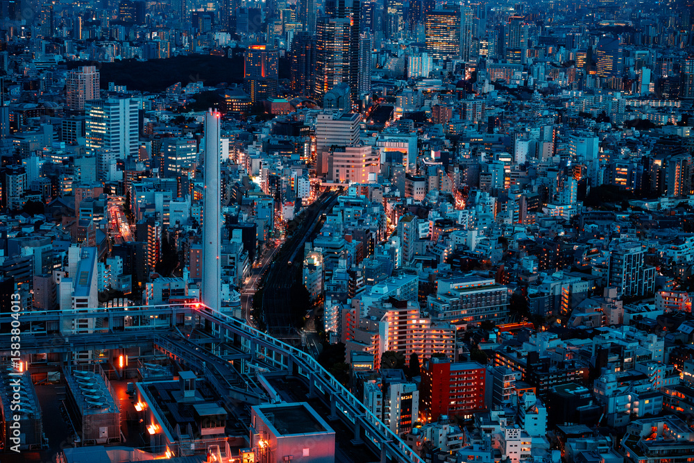 Fototapeta premium Tokyo night 6