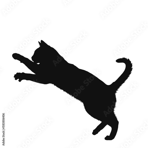 Silhouette of a cat leaping with outstretched paws up high