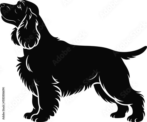 Silhouette of Cocker Spaniel in elegant show stance with clean outline vector isolated black and white