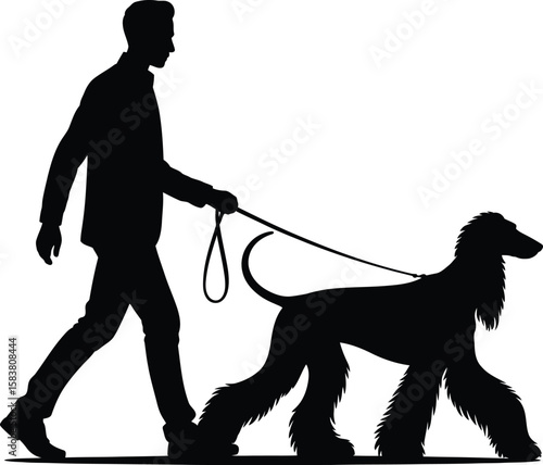 Silhouette of owner walking Afghan Hound on long leash with elegant stride in black and white vector illustration