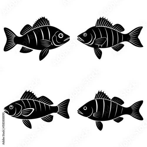 Four black and white stylized perch fish with stripes swimming in different directions on a white background