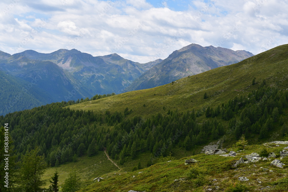 Fototapeta premium Schöne Landschaft im Ultental in Südtirol 