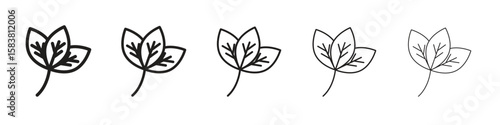 Basil icon with editable stroke eps 10 vector illustration. Outline drawing.
