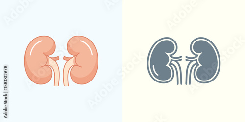 Human Kidneys Organ Illustrations Flat Design and Outline for Health Concepts
