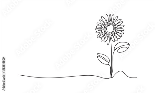 Black line drawing of a sunflower with leaves on a white background