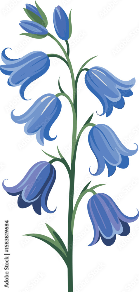 Fototapeta premium bluebell flowers
