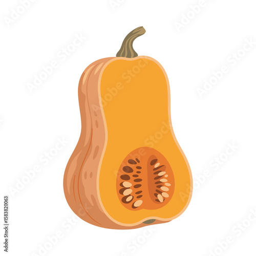halved butternut squash