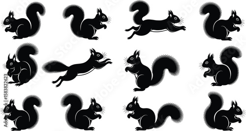 Squirrel silhouette collection, jumping and sitting squirrels vector set, forest animal clipart, cartoon style woodland wildlife graphic illustration
