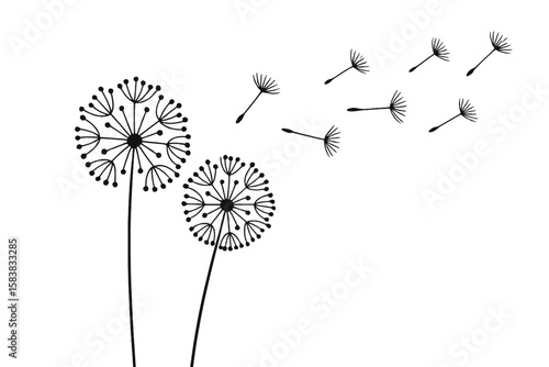 Two abstract dandelions with flying seeds. Black flower silhouette blowing in the wind. Vector concept of hope, dreams, and freedom. Minimalist floral nature illustration.