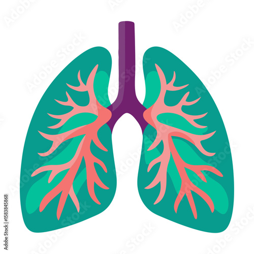 Lungs diagram with bronchi in colorful flat design  
