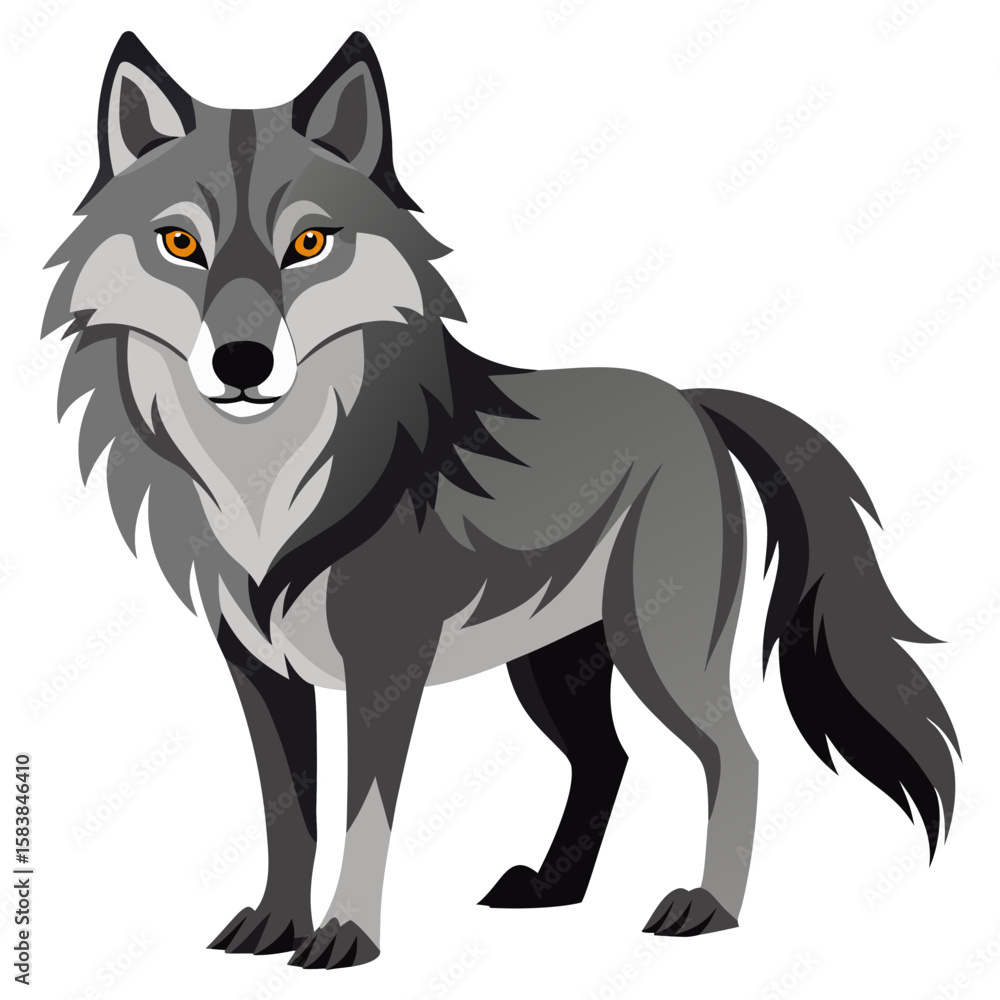 Fototapeta premium Gray wolf standing confidently with piercing yellow eyes 