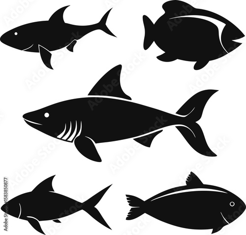 6 Fish Silhouette Vector Illustrations