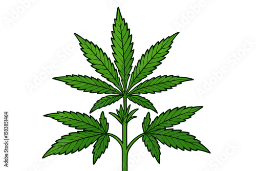 Cannabis Plant Vector Illustration, Detailed Marijuana Leaf Close-Up, Green Weed Botanical Drawing, Transparent Background, Herbal Medicine, Hemp Agriculture, Isolated Clipart