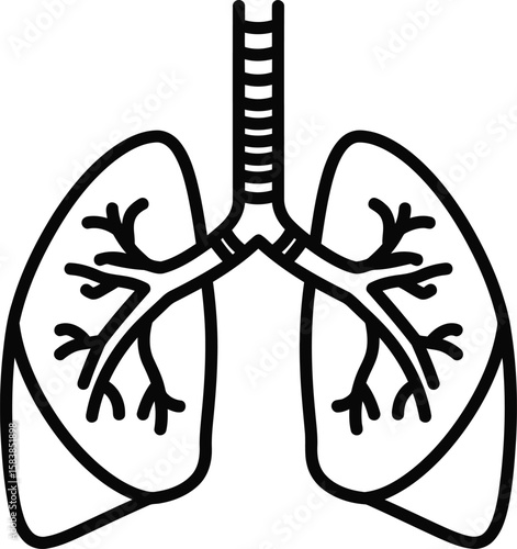 Human Lung Anatomy: A detailed, simplified illustration of the human lungs, highlighting the intricate network of bronchial tubes and air sacs. 