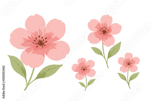 Wallpaper Mural Pink Watercolor Cherry Blossom Flowers Vector, Multiple Sizes, Transparent Background, Botanical Illustration, Decorative Floral Clipart, Spring Nature Art Torontodigital.ca