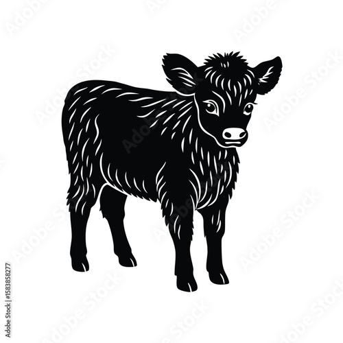 Adorable highland cattle calf standing proudly silhouette