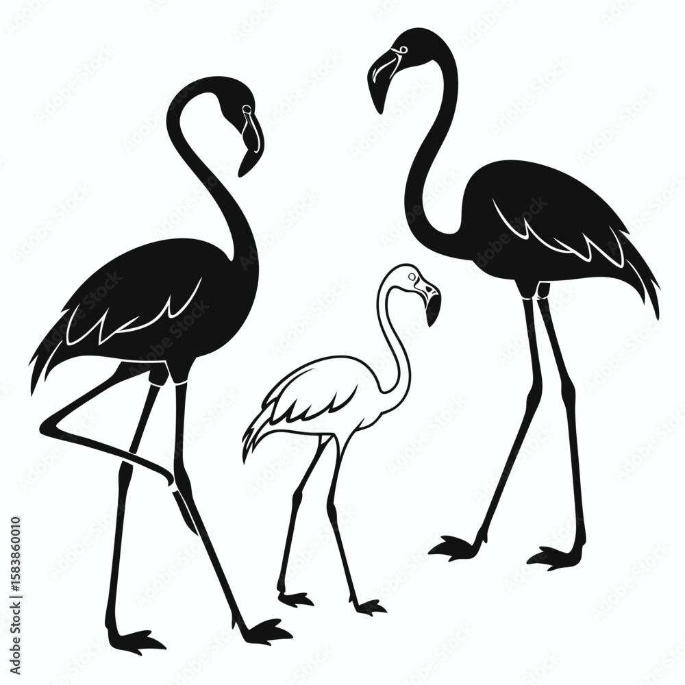 Obraz premium Silhouette of Three Graceful Flamingos Posing in Different Directions Elegant and Exotic Avian Imagery