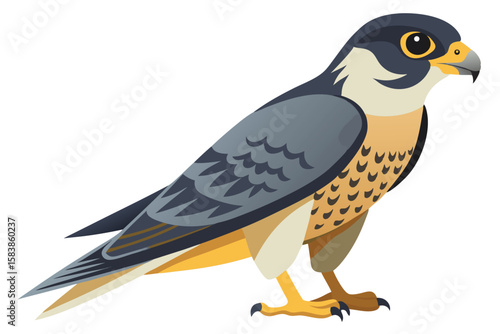 Cartoon Peregrine Falcon Illustration with Detailed Plumage and Yellow Eyes
