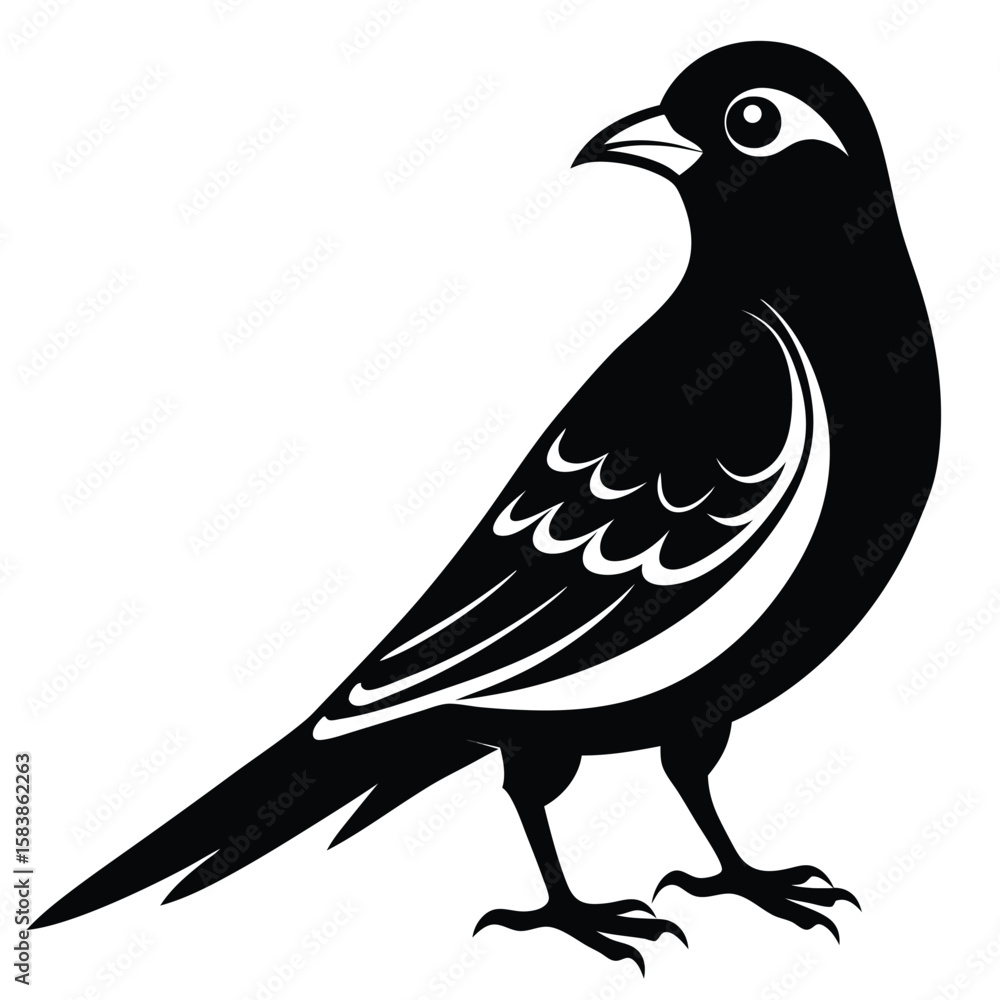 Fototapeta premium Black and White Bird Illustration Detailed Feather Pattern Perched with Sharp Talons and Distinct Eye Markings