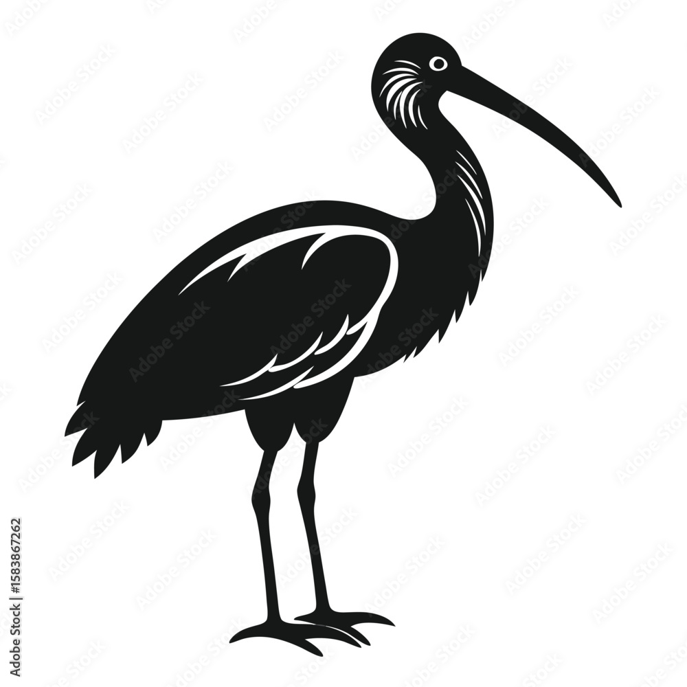 Fototapeta premium Striking Silhouette of an Ibis Elegant Bird with Long Beak
