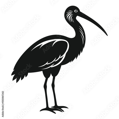 Striking Silhouette of an Ibis Elegant Bird with Long Beak