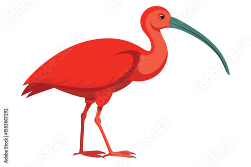 Vibrant Scarlet Ibis Depiction A Captivating Bird Illustration with Graceful Posture and Distinctive Curved Bill