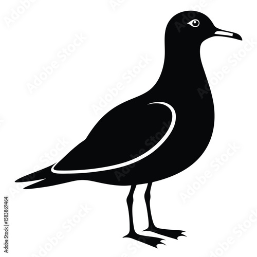 Black and White Silhouette of a Bird Standing Calmly Featuring its Beak and Body Shape