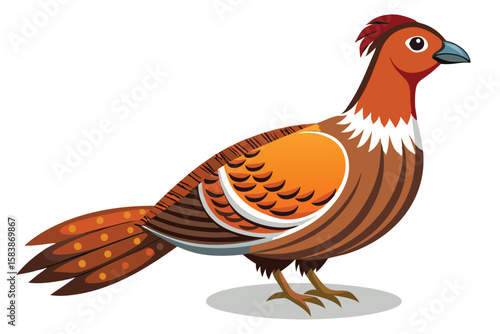 Colorful Pheasant Vector Illustration Bird Art Wildlife Drawing Fowl Poultry Design Graphic Cartoon