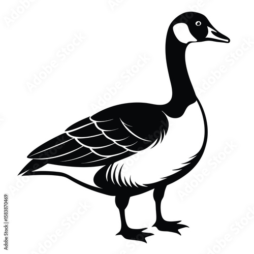Elegant Silhouette of a Canada Goose Standing Tall Symbol of Wildlife and Serenity