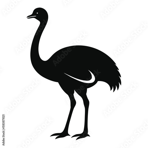 Black ostrich silhouette vector icon bird animal