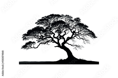 Tree impatient silhouette on white background.01
