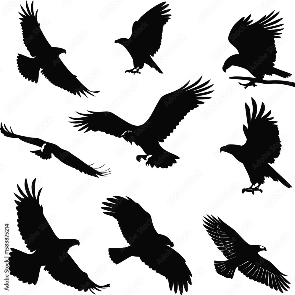 Fototapeta premium Set of Eagle Silhouettes in Flight and Attack Poses – Vector Illustration