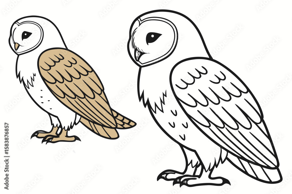 Fototapeta premium Charming Barn Owl Duo Depicted in Black and White Outline with One Partially Colored in Brown