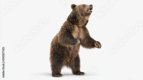 3D rendered brown bear standing