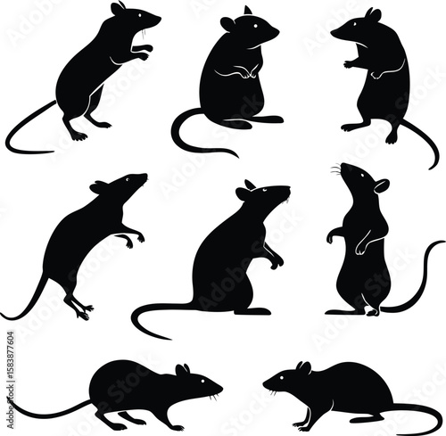 Rat silhouette bundle set vector design with editable and white background
