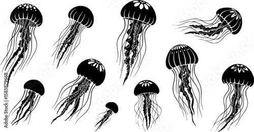 A collection of stylized jellyfish, with varied tentacle designs, against a white background, clean vector illustration, minimalist art.