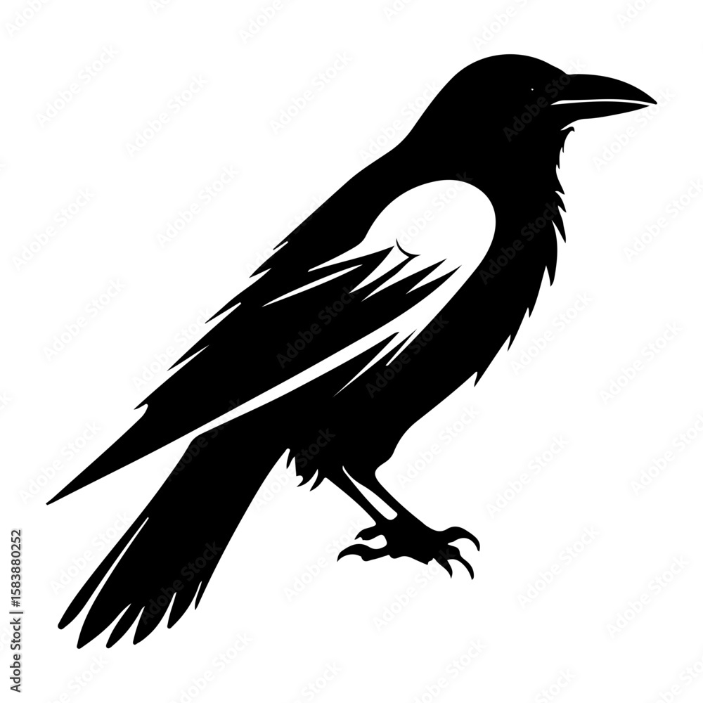 Fototapeta premium Stylized Crow Raven Bird Vector Illustration
